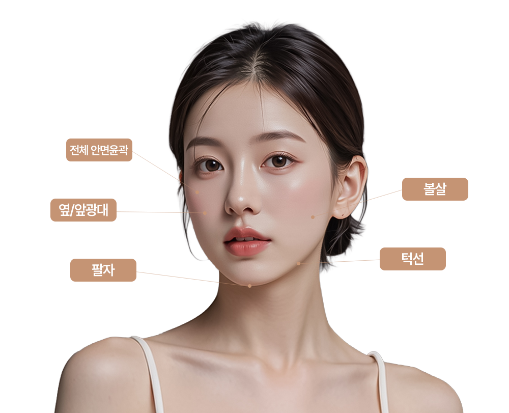 엘란쎄 시술 부위