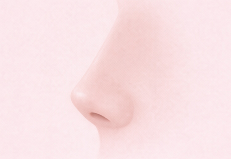 짧은코 들창코 케이스 1